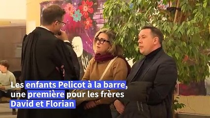 Procès des viols de Mazan : les frères Pelicot témoignent à la barre