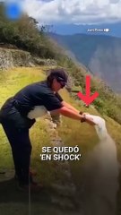 Video: Video de una mujer arrojando cenizas en Machu Picchu genera rechazo