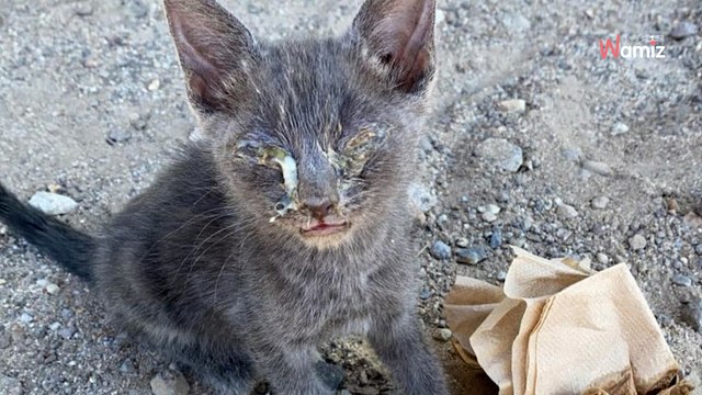 En road trip aux Etats-Unis, une rencontre sur la route va bouleverser ses projets de vacances