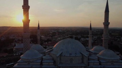 Revert: Seeds of change