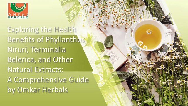 Exploring the Health Benefits of Phyllanthus Niruri, Terminalia Belerica, and Other Natural Extracts A Comprehensive Guide by Omkar Herbals
