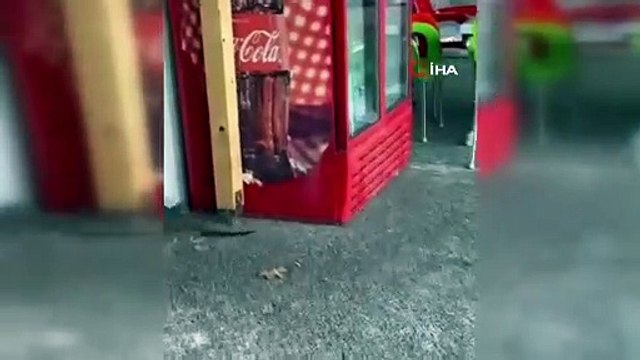 Nesli tükenmekte olan o hayvan Bartın’da görüldü