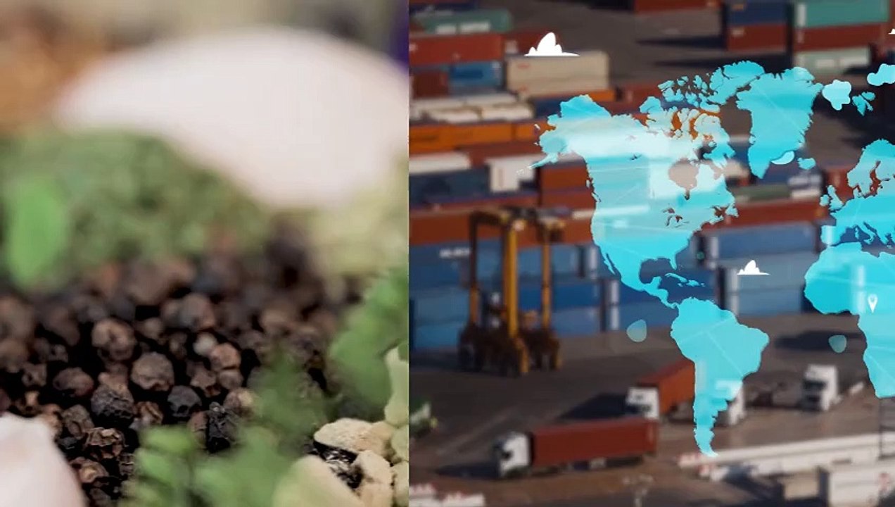 The Supply Chain Report News Roundup - 19th Nov 2024