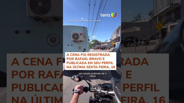 Motociclista flagra cavalos sendo transportados dentro de ônibus no Rio Grande do Sul #shorts