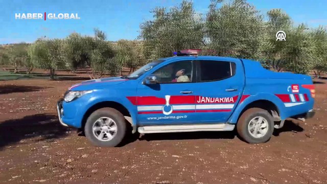 Kilis'te zeytin hırsızlığına karşı karadan ve havadan denetim