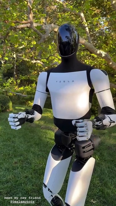 Kim Kardashian / robô tesla