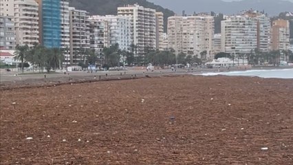 Malaga, Spain: Abysmal state of beach following devastating storm captured on camera