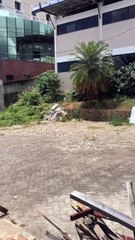 Justiça aceita pedido de prisão preventiva de mãe e filha que atacaram mulher com ácido