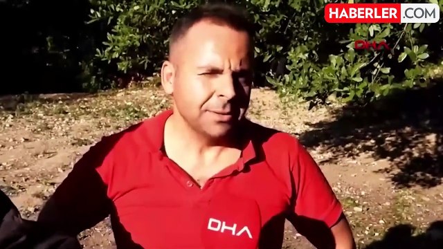 Doğada kendiliğinden yetişiyor: Kilosu 400 TL'den satılıyor