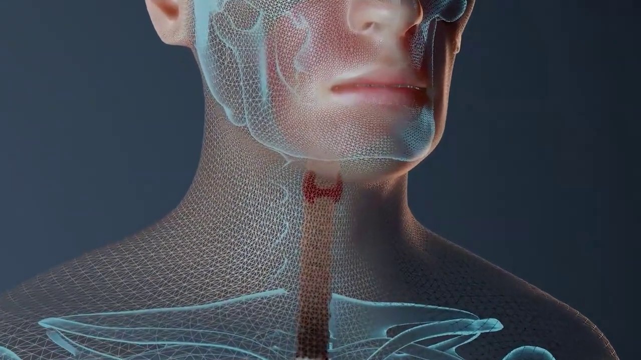 COMPLETE Human Anatomy in 1 Hour! A to Z 3D Human Body Organ Systems