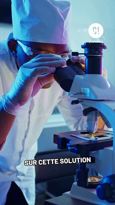 1 Français sur 2 est en surpoids ?