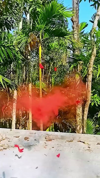 Craft with bamboo