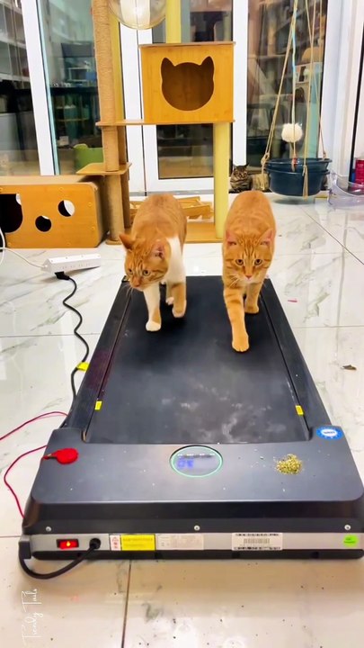 Hard training