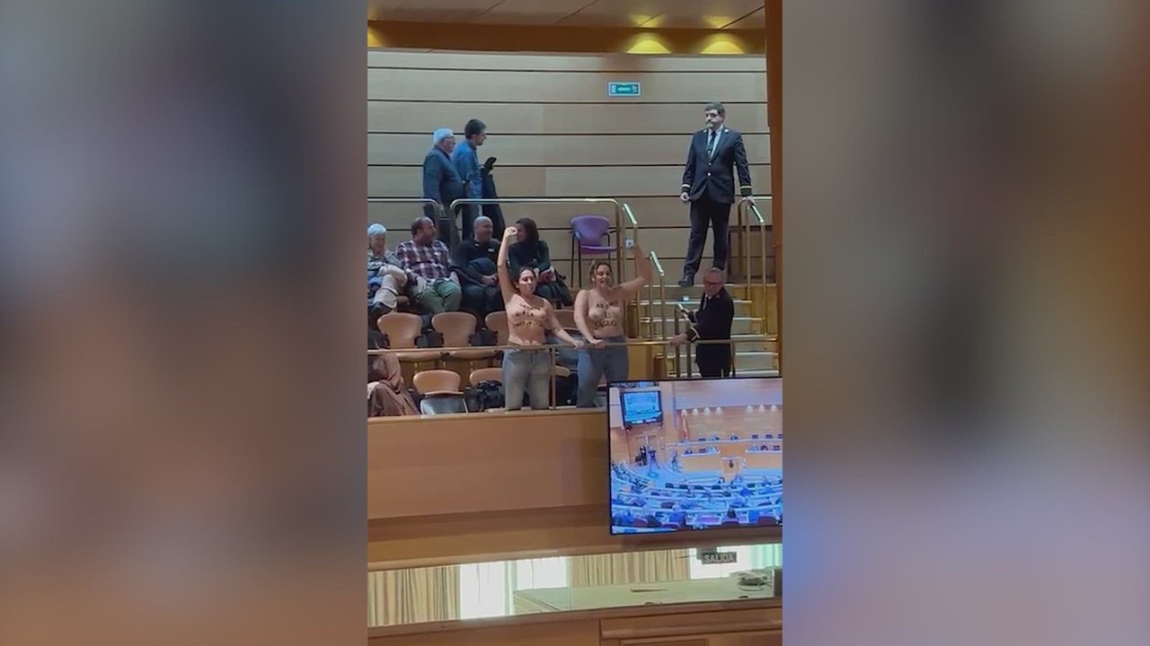 El momento en el que dos activistas de Femen irrumpen en el Senado por el aborto