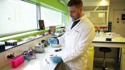 Des chercheurs caennais découvrent une nouvelle piste de traitement des AVC