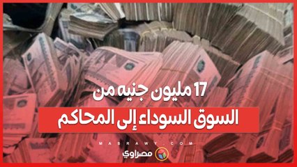 17 مليون جنيه من السوق السوداء إلى المحاكم… ماذا ينتظر تجار العملة؟