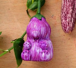 Du DÉBUTANT à l'EXPERT ! ASTUCES de jardinage pour tous les niveaux d'expérience !