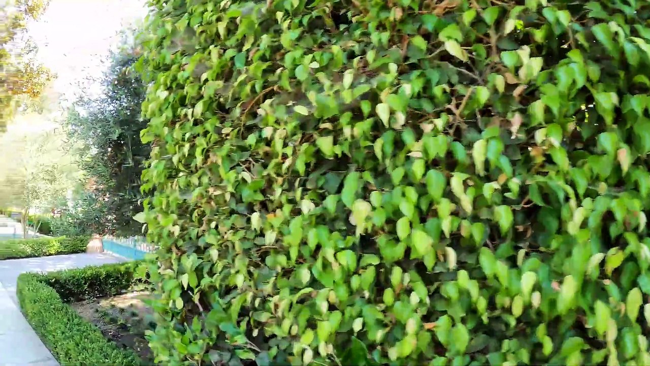 Vacation Beverly Hills California - Attractions - TripAdvisor and Booking - TripAdvisor and Booking