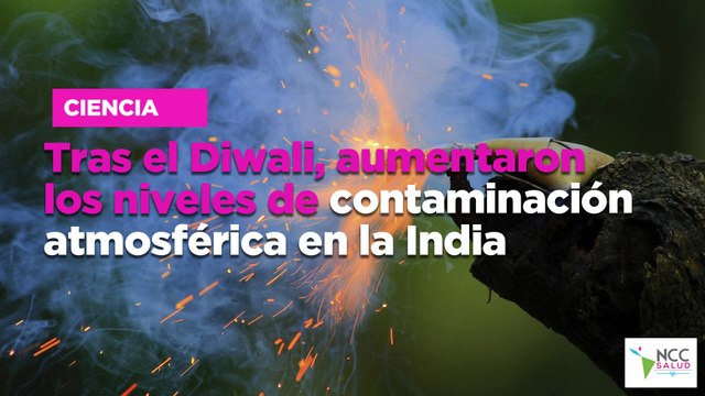 Tras el Diwali, aumentaron los niveles de contaminación atmosférica en la India