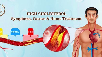 Types of Cholesterol and Their Roles 🩺