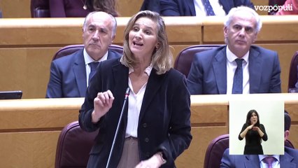 El PP reprocha a Marlaska "que debían haber declarado la emergencia nacional", pero "renunciaron"