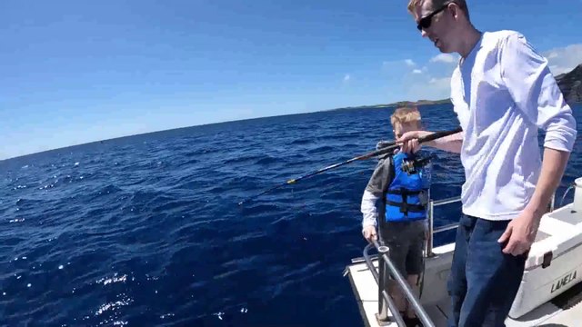 11 Day Fishing Catch & Cook in Hawaii - Diving with Whales, Spearfishing, Snorkeling & Adventure