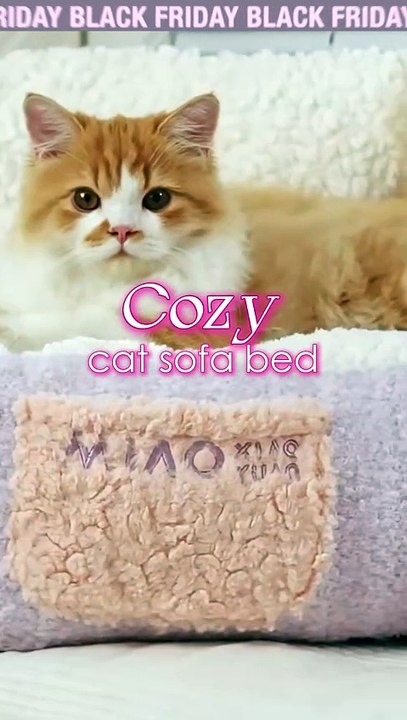 Cozy Cat Sofa Bed