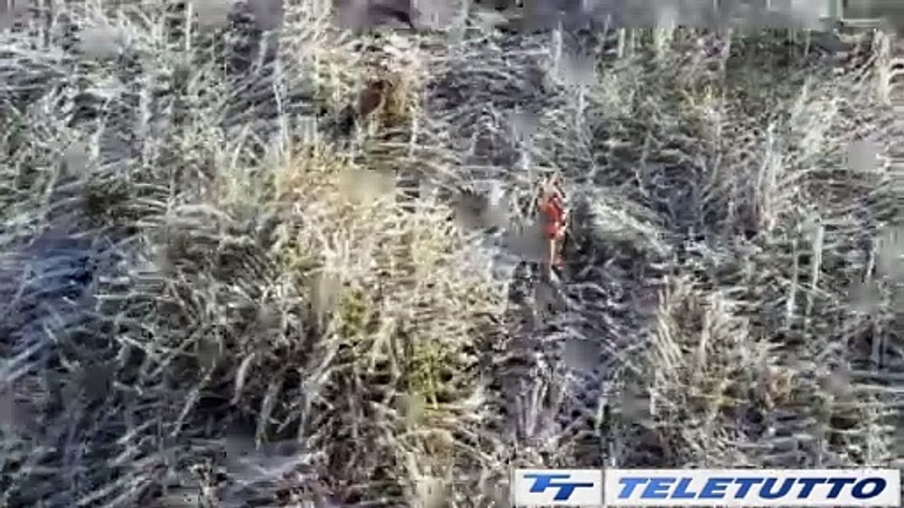 Video News - Meteo, in arrivo la prima neve