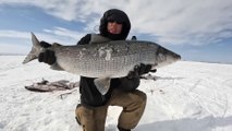 4 Days Camping & Fishing on Arctic Ocean - GIANT Sheefish Catch & Cook Alaska Adventure