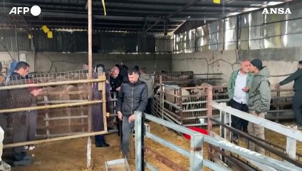 Cisgiordania, raid israeliano sul villaggio di Qabatiya