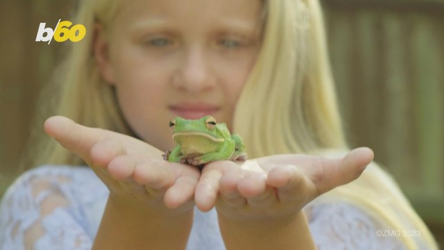 An Inseparable Bond Between a Little Girl and Her Pet Frog!