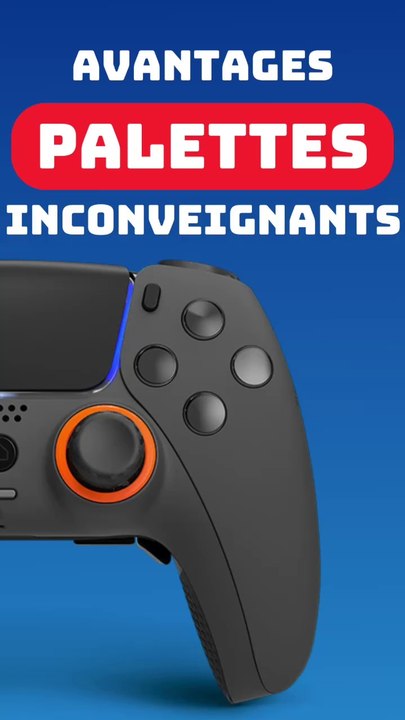 Manette avec des palettes  Avantages vs Inconvénients