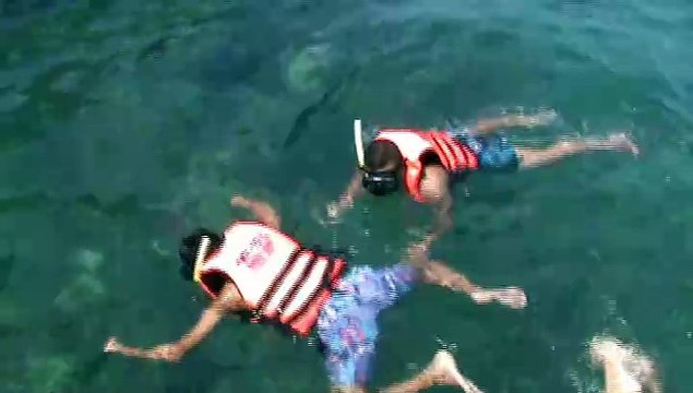 les îles kho-phi phi tpar murphi6666