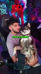 INOXTAG Explores ACE and Its Connection to Disease 🧬