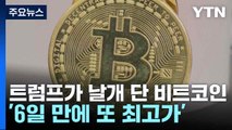 트럼프가 날개 단 비트코인...'6일 만에 또 최고가' / YTN