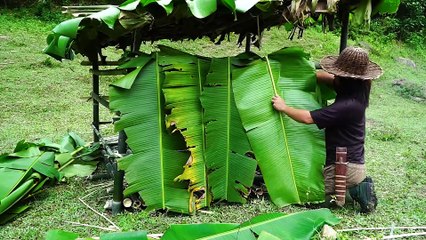 EP.158 - Abrigo Completo, Armadilha para Peixes, Comida Selvagem