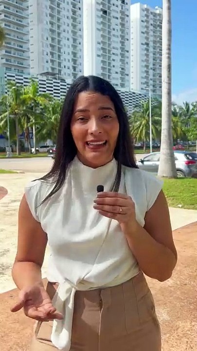 Seguridad Vial 2024