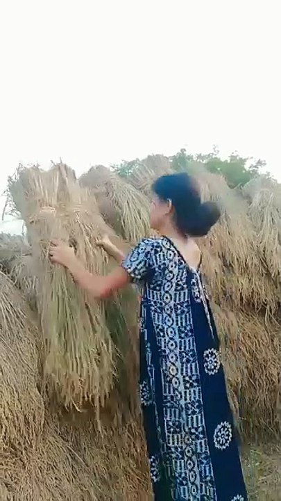 Balgla video