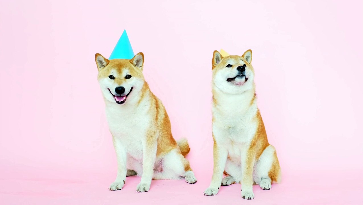 I don't chase people anymore