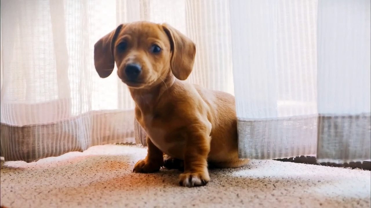 Sometimes the people