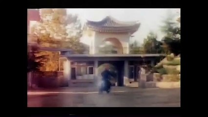 Sách Dạy Kung Fu Ngón Tay - Kung Fu Finger Book / Kung Fu Fever (1978) ED