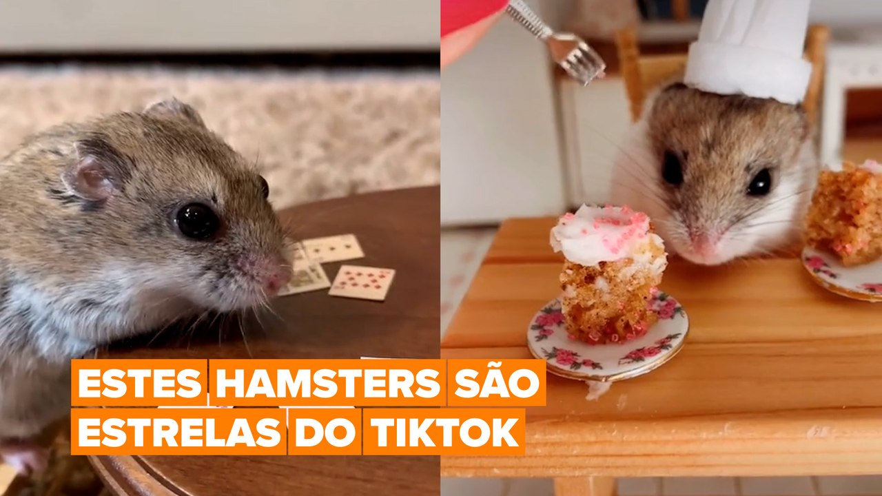 Estrelas do Tiktok