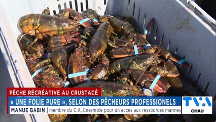 TVA Nouvelles CHAU 18h 19 novembre 2024