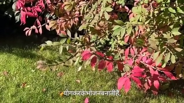 पृथ्वी कैसे बनी How to our earth formed