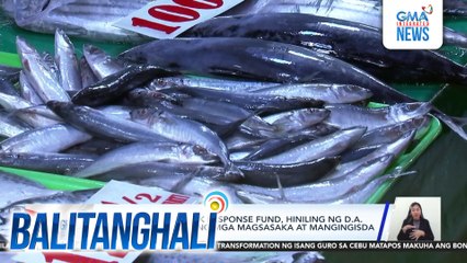 Dagdag na P1B quick response fund, hiniling ng D.A. para matulungan ang mga magsasaka at mangingisda | Balitanghali