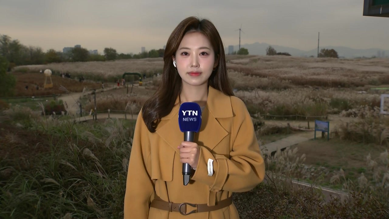 [날씨] 쌀쌀한 늦가을...대체로 흐리고 밤사이 중서부 약한 비 / YTN