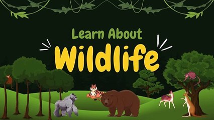 Green Yellow Playful Illustrated Wildlife Learning for Kids Video