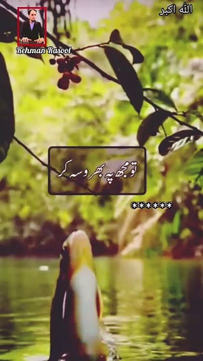 رزق تو اللہ دیتا ہے اور وہ کہاں سے دیتا ہے یہ سوچنا ہمارا کام نہیں ہے ہمیں تو بس اللہ کا پابند بن کر چلنا ہے ❤️ #سبحان__الله__وبحمده__سبحان__الله__العظيم