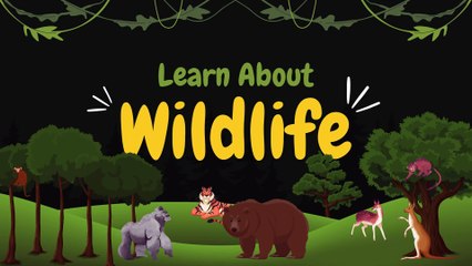 Playful Illustrated Wildlife Learning for Kids