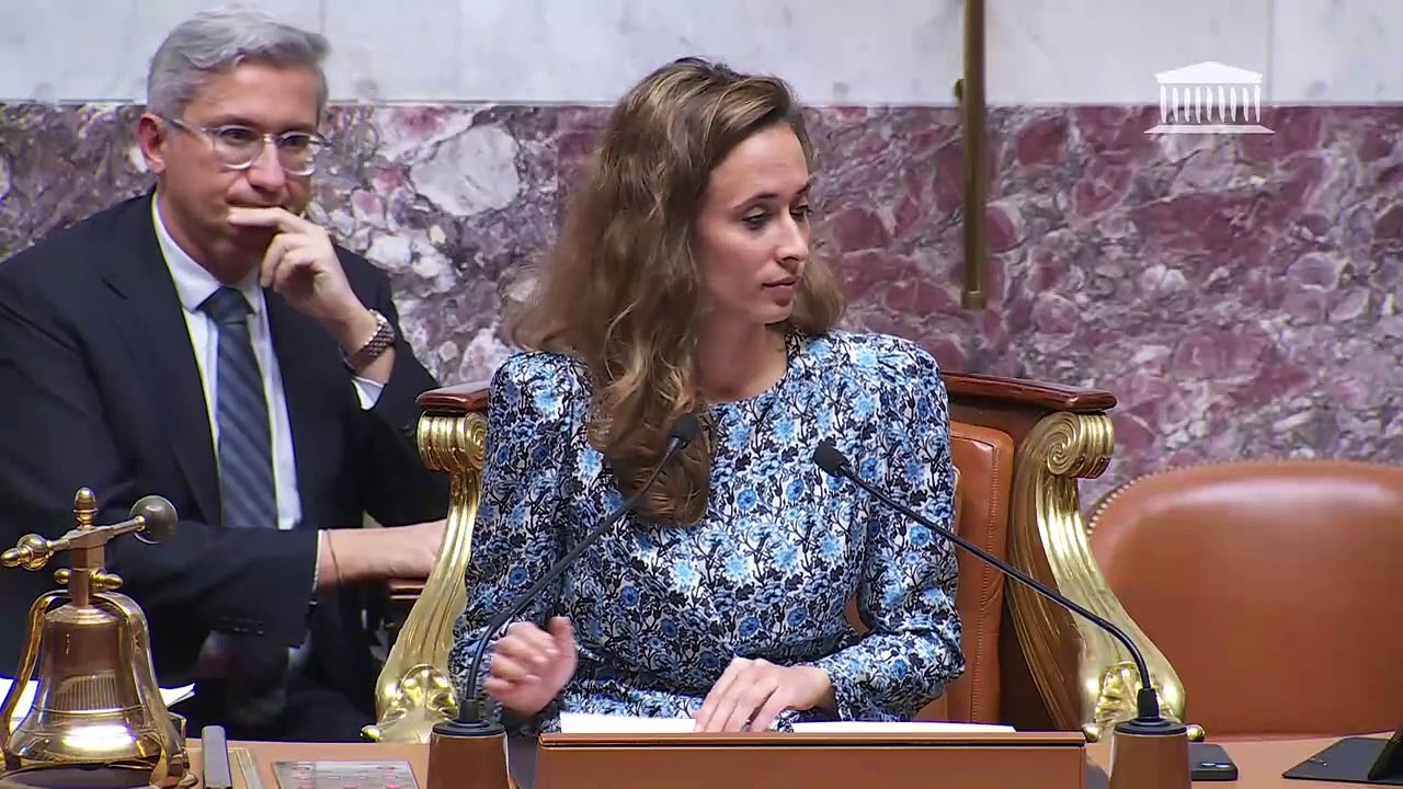 2ème séance : Projet de loi de finances de fin de gestion pour 2024 (suite) ; Réforme du financement de l’audiovisuel public ; Sécuriser le mécanisme de purge des nullités - Mardi 19 novembre 2024